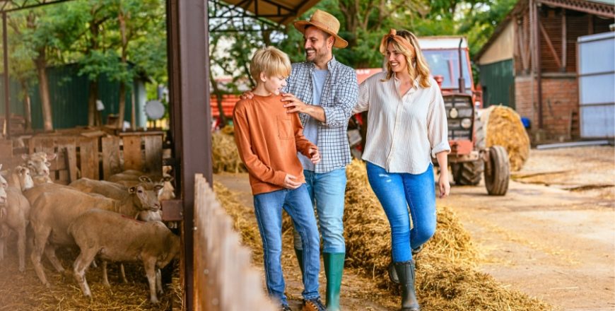 Kurs Animator czasu wolnego na wsi