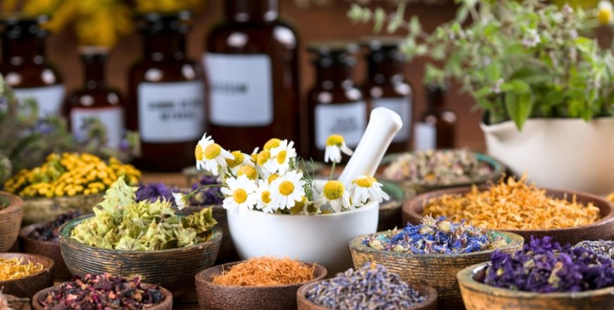 Kurs Fitoterapia (Ziołolecznictwo)