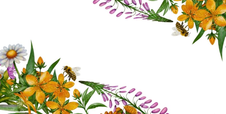 Kurs Przetwórstwo produktów pszczelich